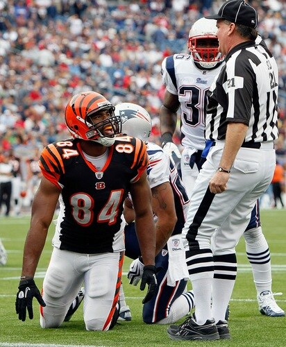 FOXBORO, MA - SEPTEMBER 12:  Jermaine Gresham #84 of the Cincinnati Bengals reacts after an official ruled that he did not cross the goal line on a run against the New England Patriots during the NFL season opener at Gillette Stadium on September 12, 2010 in Foxboro, Massachusetts. The Patriots won 38-24. <br /><br /><span class="help">(Photo by Jim Rogash/Getty Images)</span>