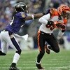 Cincinnati Bengals v Baltimore Ravens