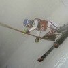 Audi FIS World Cup Women's Slalom