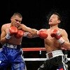Fernando Montiel v Nonito Donaire