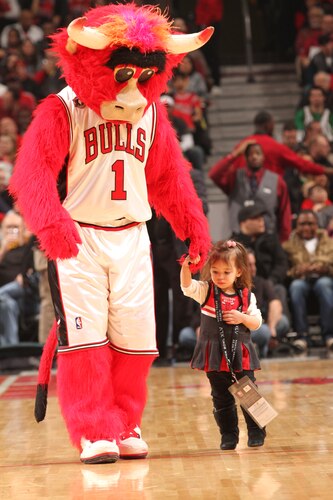 bulls mascot