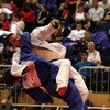 2011 Judo London British Open
