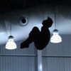British Gas National Diving Championships Day Three