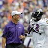Baltimore Ravens Training Camp