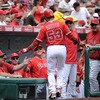 Minnesota Twins v Los Angeles Angels of Anaheim