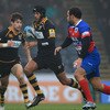 London Wasps v Femi CZ Rovigo Amlin Challenge Cup