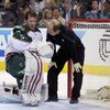 Minnesota Wild v San Jose Sharks