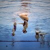 6th FINA Synchronised Swimming World Trophy Training