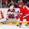 Phoenix Coyotes v Detroit Red Wings