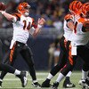 Cincinnati Bengals v St Louis Rams
