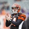 Baltimore Ravens v Cincinnati Bengals