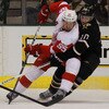 Detroit Red Wings v Dallas Stars