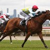 Chester Manifold Stakes Day