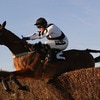 Plumpton Races