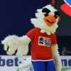 Germany v Sweden Men's European Handball Championship 2012