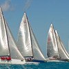 Key West 2012 Sailing Regatta