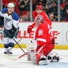 St Louis Blues v Detroit Red Wings