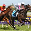 Greater Dandenong Race Day
