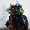 Huntingdon Races