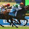 Greater Dandenong Raceday