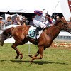 2012 Wellington Cup Day
