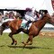 2012 Wellington Cup Day