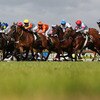 Karaka Millions Day