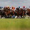 Karaka Millions Day