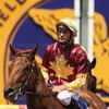 Shadwell Stud Australasia Race Day