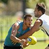 Collingwood Magpies Training Session