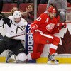 Dallas Stars v Detroit Red Wings