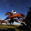 Huntingdon Races