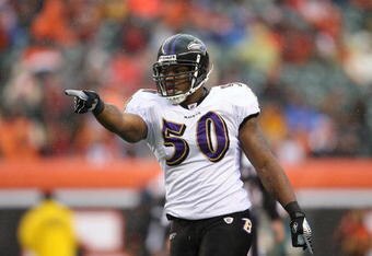 CINCINNATI - NOVEMBER 30:  Antwan Barnes #50 of the Baltimore Ravens makes a pointing gesture during their NFL game against the Cincinnati Bengals on November 30, 2008 at Paul Brown Stadium in Cincinnati, Ohio. The Ravens defeated the Bengals 34-3.(Photo by Andy Lyons/Getty Images)