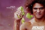Carlito_crop_150x100