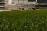 NEW YORK - OCTOBER 16:  Workers lay sod at the new Yankee Stadium on October 16, 2008 in the Bronx borough of New York City.  (Photo by Mike Ehrmann/Getty Images)