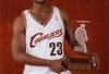 Lebronrc_crop_100x68