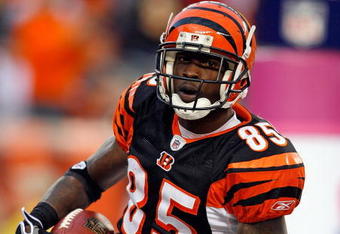 CINCINNATI - OCTOBER 25:  Chad Ochocinco #85 of the Cincinnati Bengals scores a touchdown during the NFL game against the Chicago Bears at Paul Brown Stadium on October 25, 2009 in Cincinnati, Ohio.  The Bengals won 45-10.  (Photo by Andy Lyons/Getty Images)