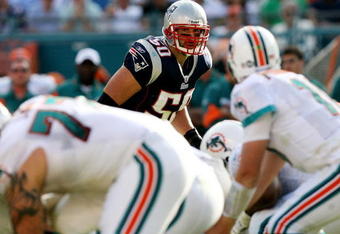 MIAMI - NOVEMBER 23:  Linebacker Mike Vrabel #50 of the New England Patriots looks in as quarterback Chad Pennington #10 of the Miami Dolphins prepares to take the snap at Dolphin Stadium on November 23, 2008 in Miami, Florida. The Patriots defeated the Dolphins 48-28.  (Photo by Doug Benc/Getty Images)