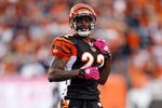 CINCINNATI - OCTOBER 25:  Johnathan Joseph #22  of the Cincinnati Bengals is pictured during the NFL game against the Chicago Bears at Paul Brown Stadium on October 25, 2009 in Cincinnati, Ohio.  The Bengals won 45-10.  (Photo by Andy Lyons/Getty Images)