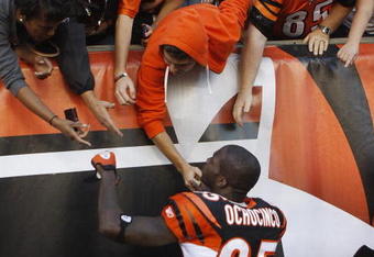 CINCINNATI - NOVEMBER 8: Chad Ochocinco #85 of the Cincinnati Bengals celebrates with his fans after defeating the Baltimore Ravens 17-7 at Paul Brown Stadium on November 8, 2009 in Cincinnati, Ohio.  (Photo by John Sommers II/Getty Images)