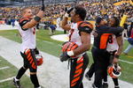 PITTSBURGH - NOVEMBER 15: Dan Skuta #51, Dhani Jones #57, Bernard Scott #28 and a coach  of the Cincinnati Bengals celebrate their win over the Pittsburgh Steelers at Heinz Field on November 15, 2009 in Pittsburgh, Pennsylvania. The Bengals won 18-12.  (Photo by Rick Stewart/Getty Images)