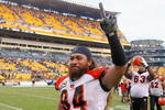 PITTSBURGH - NOVEMBER 15: Domata Peko #94 of the Cincinnati Bengals celebrates defeating the Pittsburgh Steelers at Heinz Field on November 15, 2009 in Pittsburgh, Pennsylvania. The Bengals won 18-12. (Photo by Rick Stewart/Getty Images)