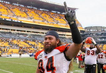 PITTSBURGH - NOVEMBER 15: Domata Peko #94 of the Cincinnati Bengals celebrates defeating the Pittsburgh Steelers at Heinz Field on November 15, 2009 in Pittsburgh, Pennsylvania. The Bengals won 18-12. (Photo by Rick Stewart/Getty Images)