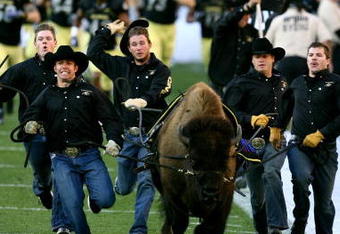 BOULDER, CO - OCTOBER 17: The Colorado Buffaloes mascot Ralphie runs onto the field prior to the game against the Kansas Jayhawks at Folsom Field on October 17, 2009 in Boulder, Colorado. (Photo by Garrett W. Ellwood/Getty Images)
