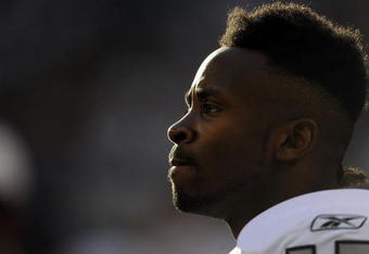 ARLINGTON, TX - NOVEMBER 26:  Wide receiver Johnnie Lee Higgins #15 of the Oakland Raiders at Cowboys Stadium on November 26, 2009 in Arlington, Texas.  (Photo by Ronald Martinez/Getty Images)