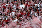 TUSCALOOSA, AL - NOVEMBER 07:  Fans of the Alabama Crimson Tide cheer against the Louisiana State University Tigers at Bryant-Denny Stadium on November 7, 2009 in Tuscaloosa, Alabama.  (Photo by Kevin C. Cox/Getty Images)