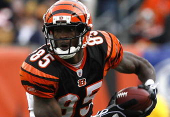CINCINNATI, OH - DECEMBER 6: Chad Ochocinco  #85 of the Cincinnati Bengals runs against the Detroit Lions in their NFL game at Paul Brown Stadium December 6, 2009 in Cincinnati, Ohio.    (Photo by John Sommers II/Getty Images)