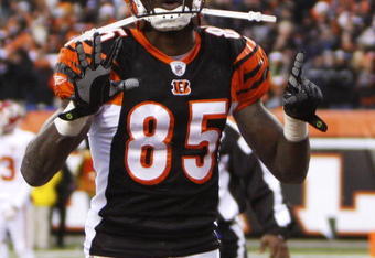 CINCINNATI - DECEMBER 27: Chad Ochocinco  #85 of the Cincinnati Bengals celebrates his touchdown catch by holding up the number 15 in memory of Chris Henry against the Kansas City Chiefs in their NFL game at Paul Brown Stadium December 27, 2009 in Cincinnati, Ohio.    (Photo by John Sommers II/Getty Images)