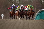 LINGFIELD, ENGLAND - JANUARY 02:  Runners head down the back straight during Division One of the Bet test match Cricket-Betdaq Handicap Stakes Race run at Lingfield Park Racecourse on January 2, 2010 in Lingfield, England.  (Photo by Julian Herbert/Getty Images)
