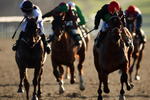 LINGFIELD, ENGLAND - JANUARY 02:  Jimmy Quinn and Tamino (red cap) land THe Bet Multiples-Betdaq Handicap Stakes Race run at Lingfield Park Racecourse on January 2, 2010 in Lingfield, England.  (Photo by Julian Herbert/Getty Images)
